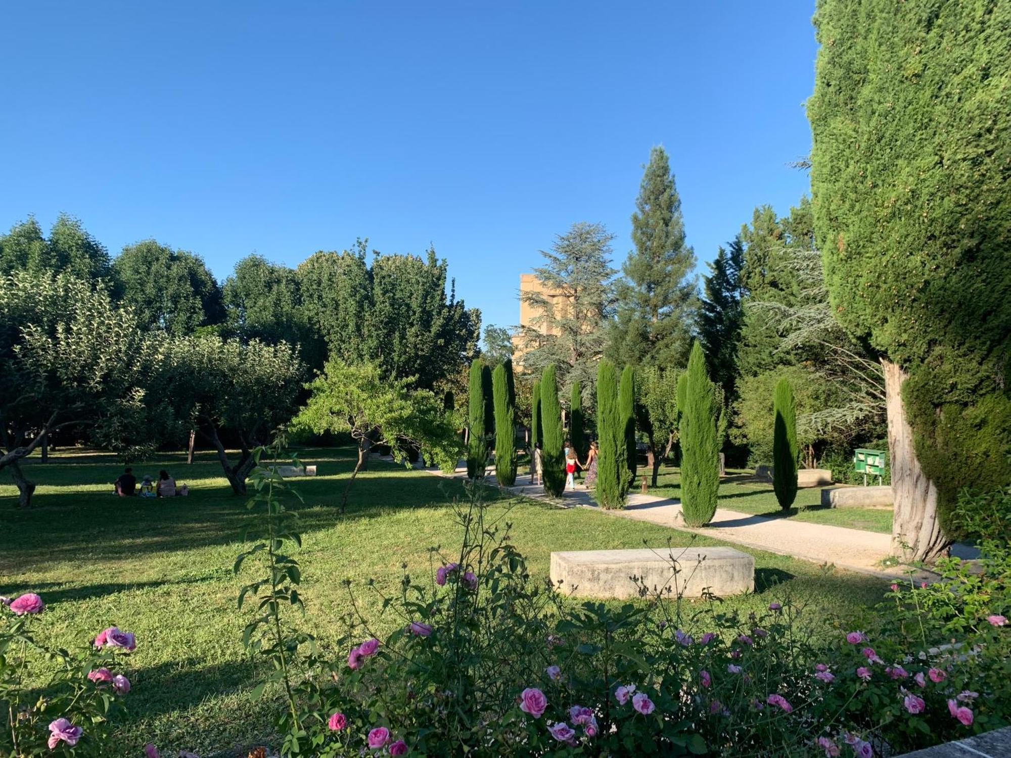 Cocon Au Coeur Du Village De Forcalquier Dış mekan fotoğraf