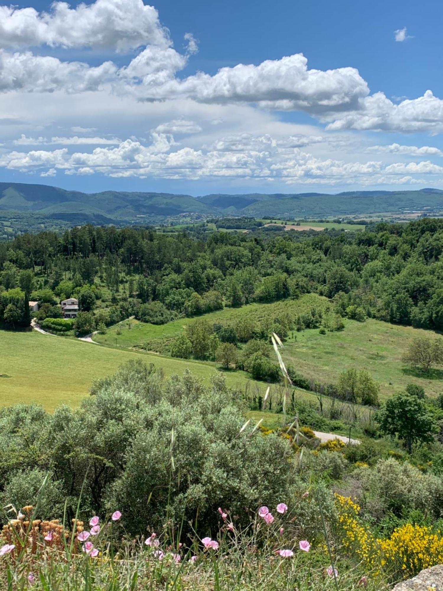 Cocon Au Coeur Du Village De Forcalquier Dış mekan fotoğraf